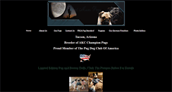 Desktop Screenshot of desertmoonpugs.com